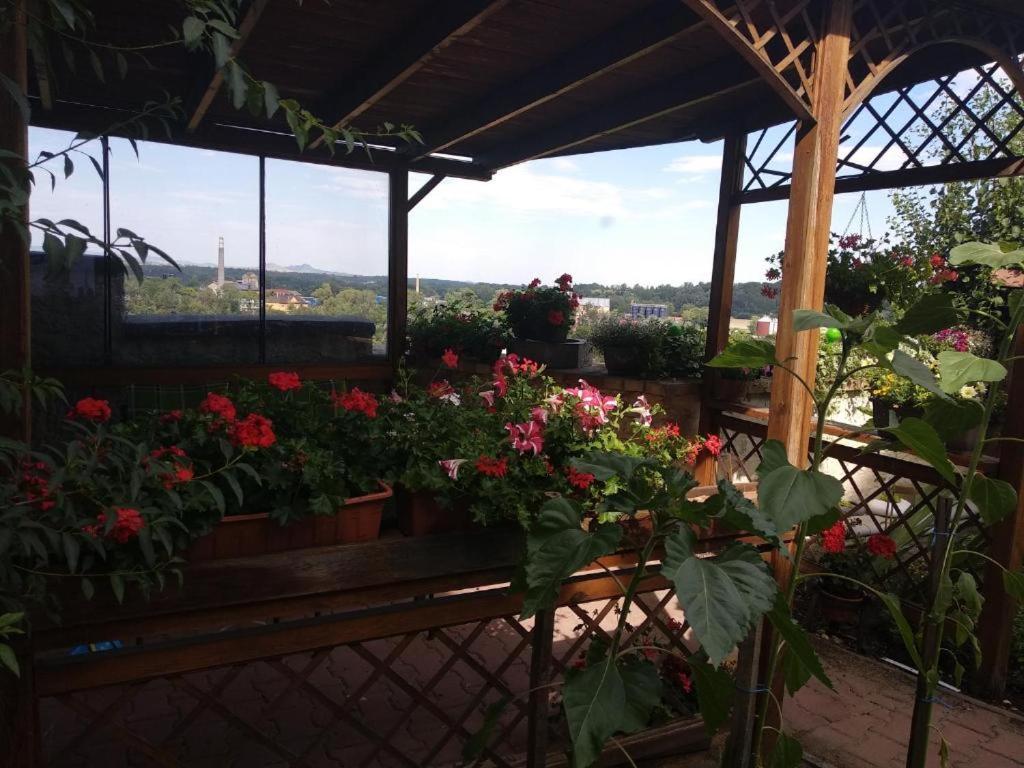 Apartmany Zatec Žatec Exterior foto